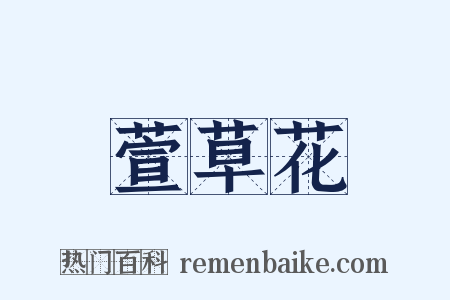 萱草花是什么意思的图片